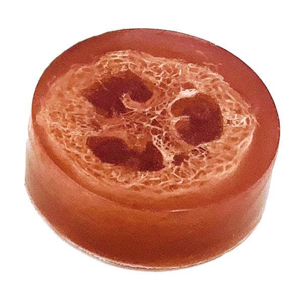 Polishing Suds Loofah Soap
